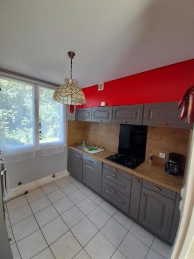 Au Coeur De La Region Des Lacs . Apartment